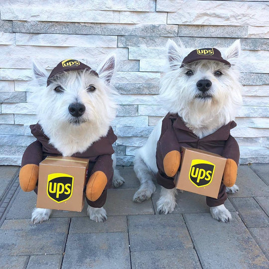 Premium Dog & Cat Jacket — Lightweight & Easy On/Off