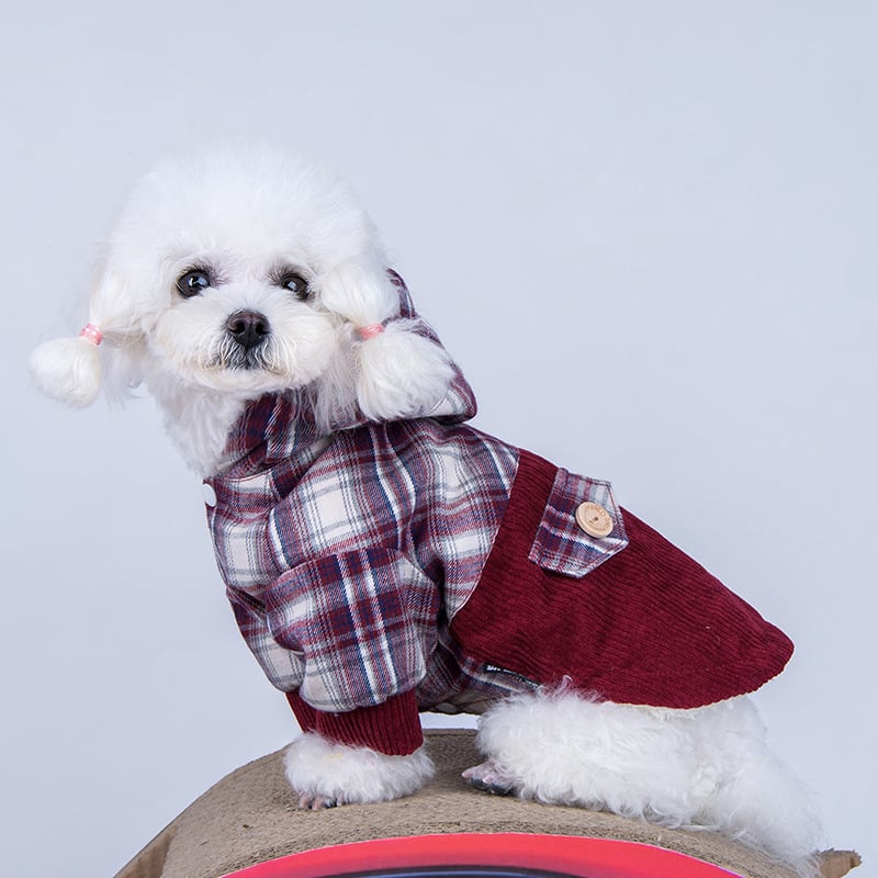 Teddy-Luxe Cashmere Pomeranian Coat