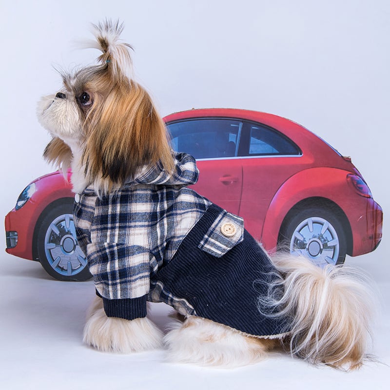 Teddy-Luxe Cashmere Pomeranian Coat