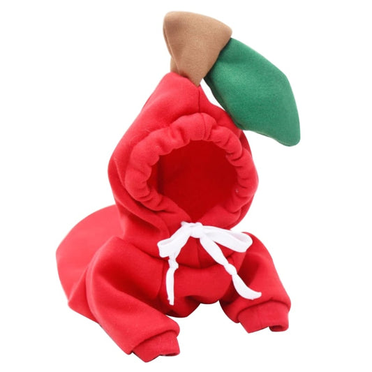 Chic Chihuahua Winter Wear