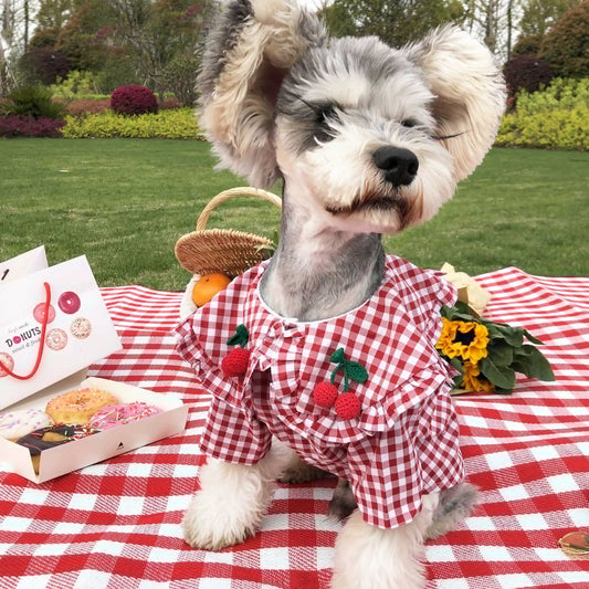Plaid Summer Shirt for Small Dogs