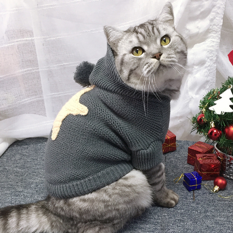 Star Print Wool Pet Sweater — Cozy Autumn & Winter Knitwear