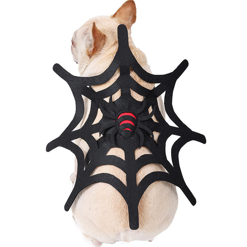 Spooky Pet Spider Web Costume Set