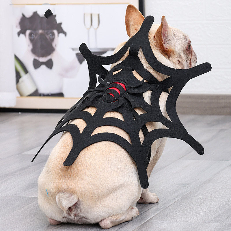 Spooky Pet Spider Web Costume Set
