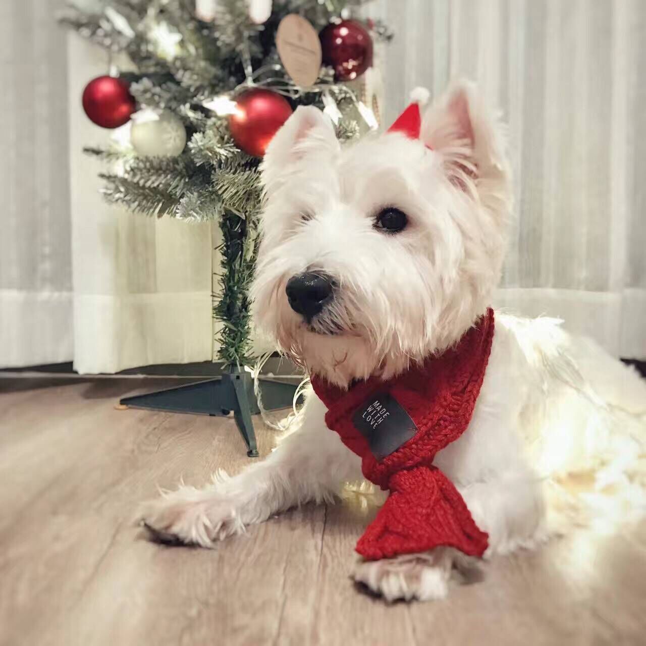 Cozy Knit Pet Scarf — Warm & Stylish for Dogs and Cats