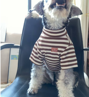 Chic Summer Dog Wear