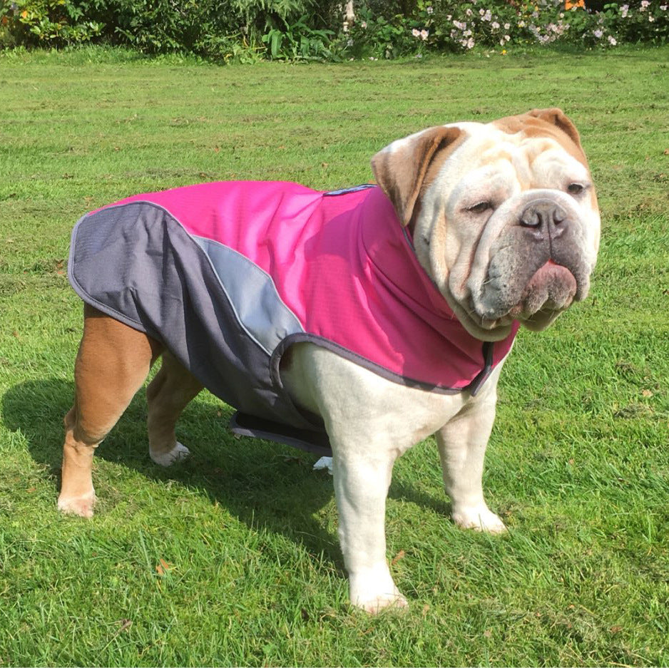 Waterproof Dog Raincoat & Insulated Winter Jacket