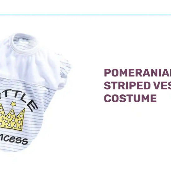 Pomeranian Striped Vest Costume by@Outfy