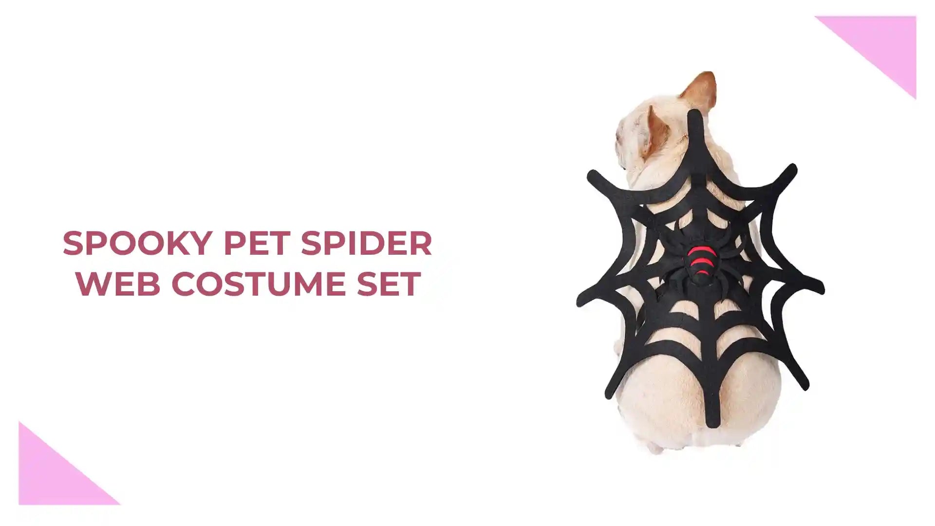 Spooky Pet Spider Web Costume Set by@Outfy