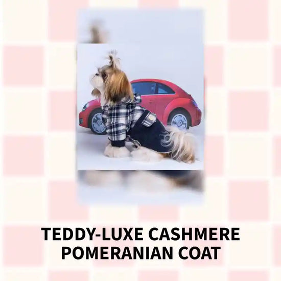 Teddy-Luxe Cashmere Pomeranian Coat by@Outfy